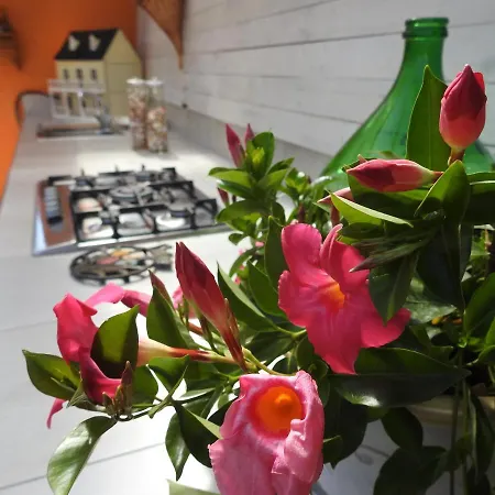 L'iris Bed & Breakfast Stellanello